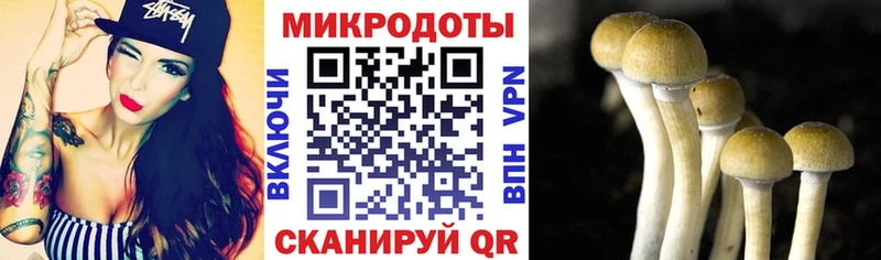 Псилоцибиновые грибы ЛСД  Полевской 